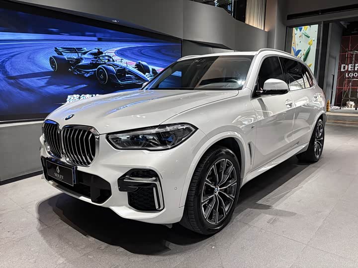 Zdjęcie 1 - BMW X5