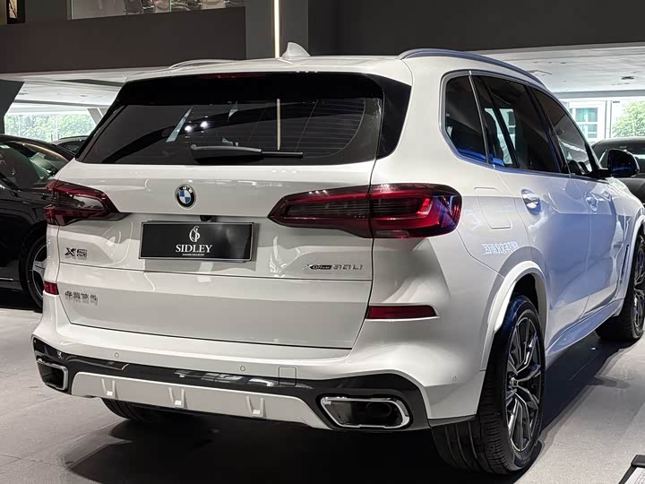 Zdjęcie 6 - BMW X5