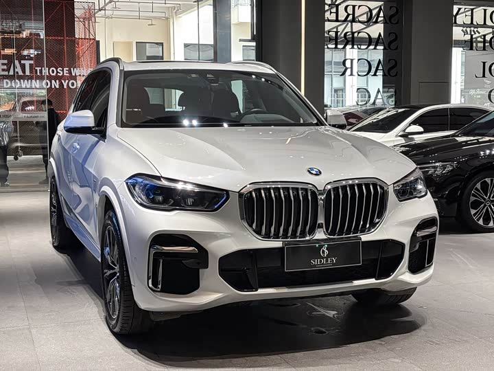 Zdjęcie 7 - BMW X5