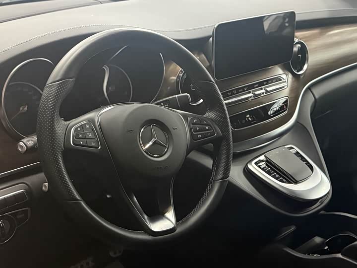 Mercedes-Benz V-Class 2022 2022款 V 260 L 长轴距豪华版