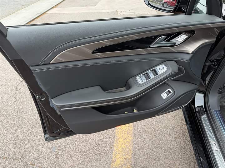 Фото 6 - Hongqi H9