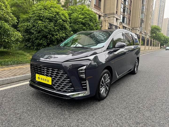 Buick GL8 Hybrid 2026 2026款 陆尊 尊享版
