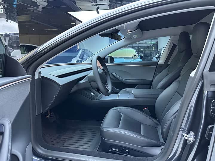 Tesla Model 3 2025 2025款 后轮驱动版