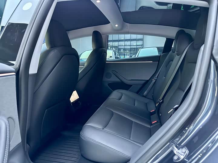 Tesla Model 3 2025 2025款 后轮驱动版