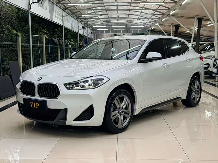 Фото 1 - BMW X2