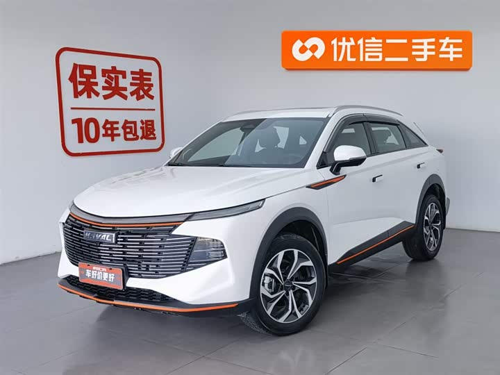Zdjęcie 1 - Haval F7 (Monster)