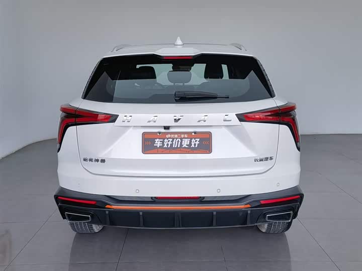 Zdjęcie 4 - Haval F7 (Monster)