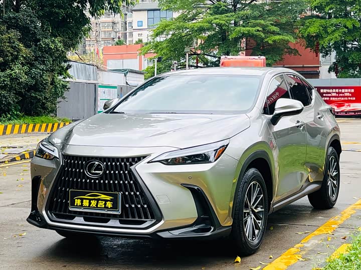 Lexus NX 2024 2024款 260 前驱 创驰版