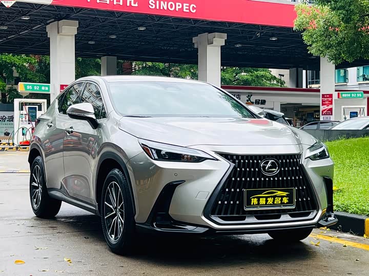 Lexus NX 2024 2024款 260 前驱 创驰版