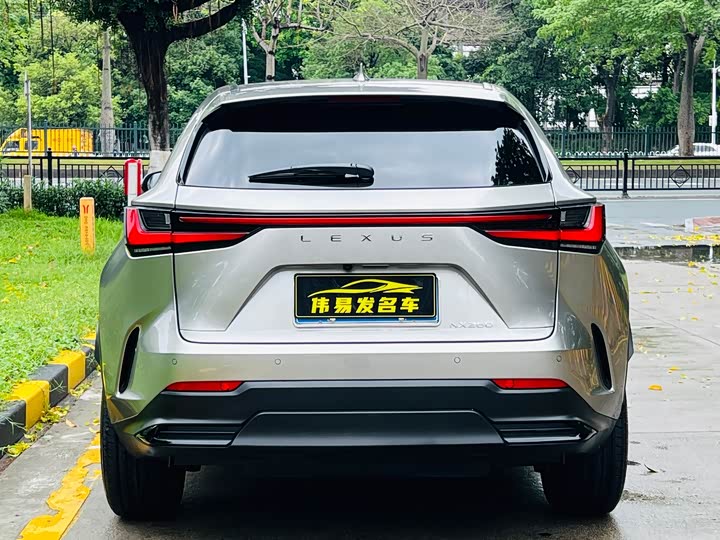 Lexus NX 2024 2024款 260 前驱 创驰版