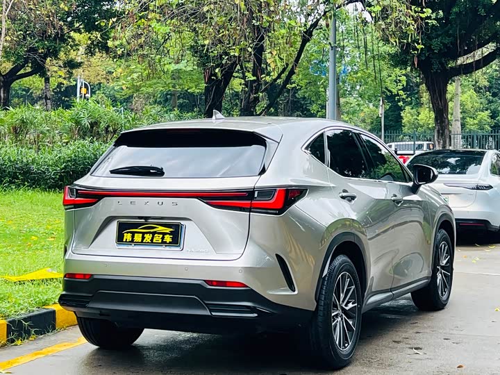 Lexus NX 2024 2024款 260 前驱 创驰版