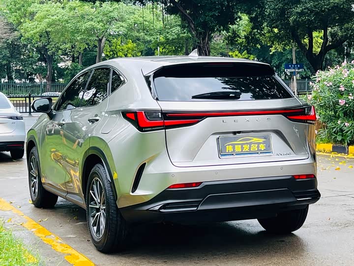Lexus NX 2024 2024款 260 前驱 创驰版
