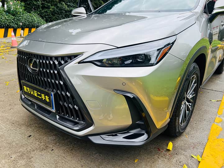 Lexus NX 2024 2024款 260 前驱 创驰版