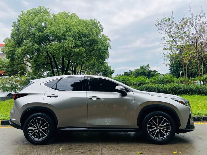 Lexus NX 2024 2024款 260 前驱 创驰版