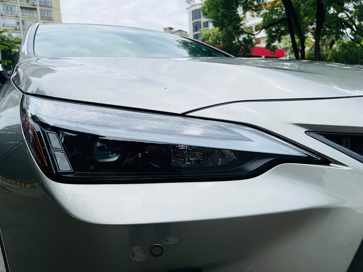 Lexus NX 2024 2024款 260 前驱 创驰版