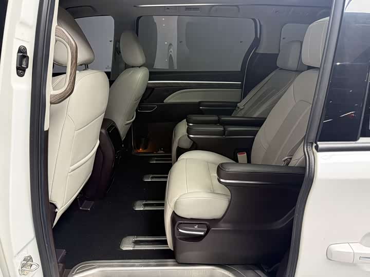 GAC Trumpchi M8 2021 2021款 领秀系列 390T 至尊版