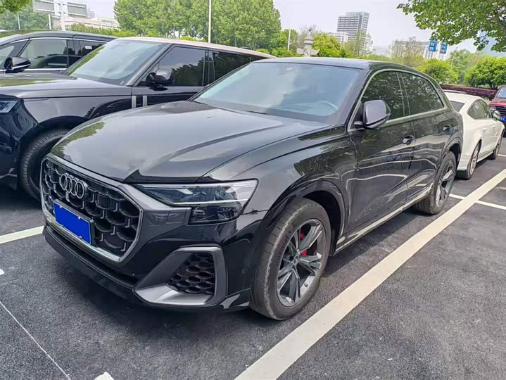 Audi Q8 2024 2024款 55 TFSI 豪华动感型