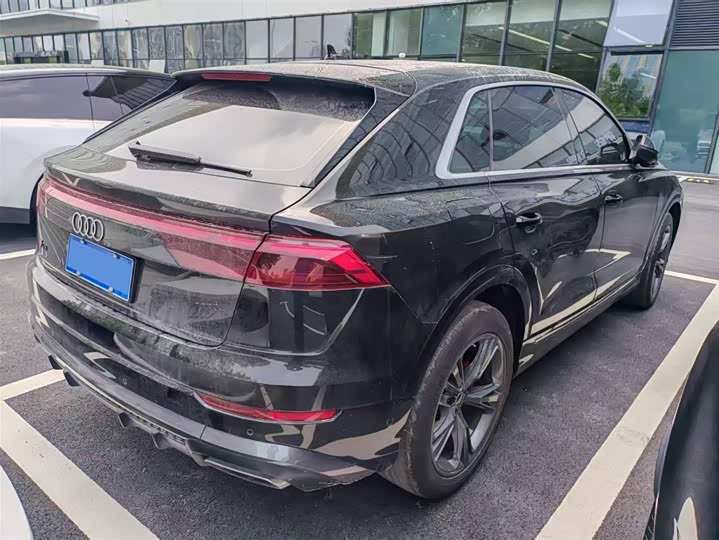 Audi Q8 2024 2024款 55 TFSI 豪华动感型