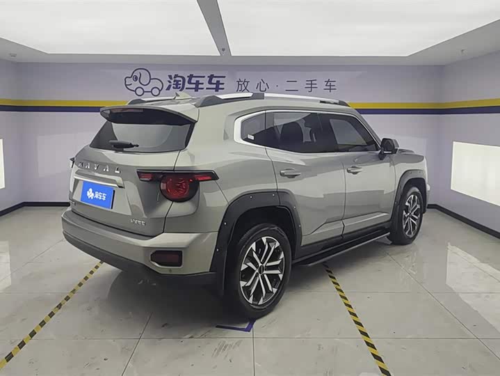 2023 Haval H-Dog