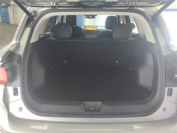 2023 Haval H-Dog