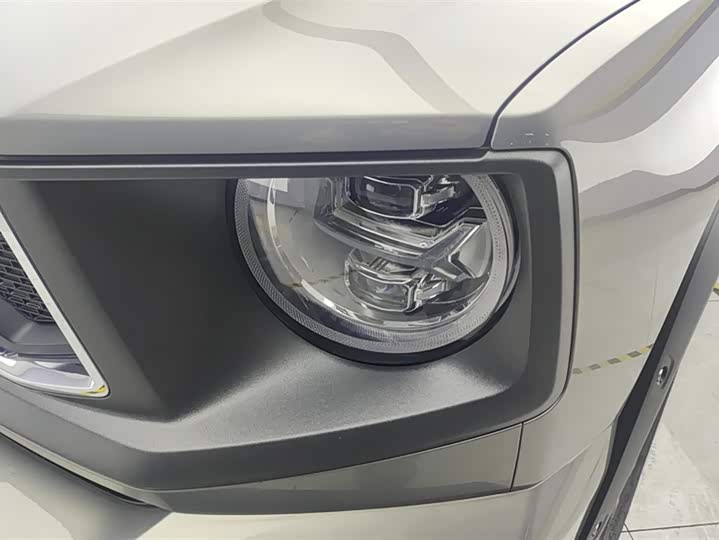 2023 Haval H-Dog
