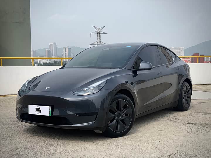 Tesla Model Y 2024 2024款 后轮驱动版