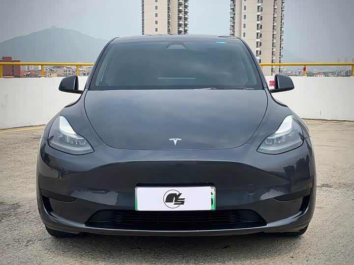 Tesla Model Y 2024 2024款 后轮驱动版