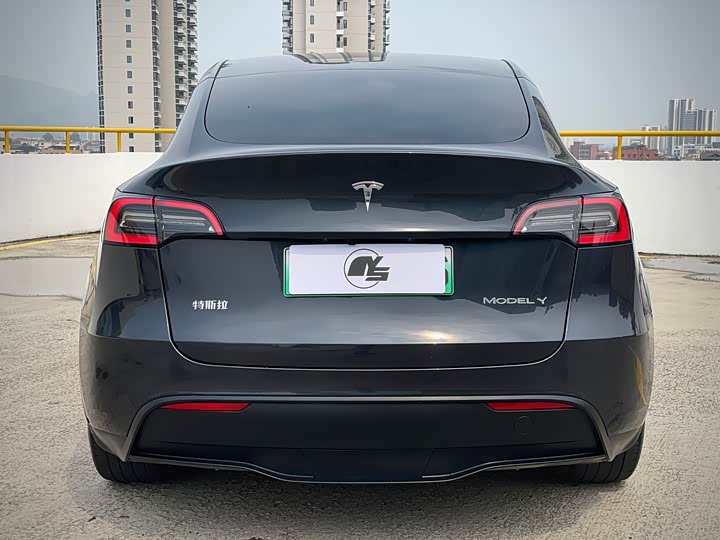 Tesla Model Y 2024 2024款 后轮驱动版