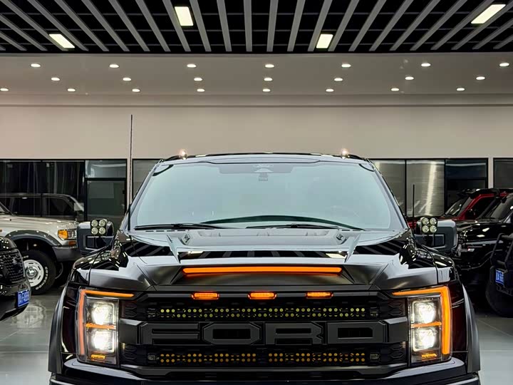 Ford F-150 Raptor 2023 2023款 3.5T 猛禽