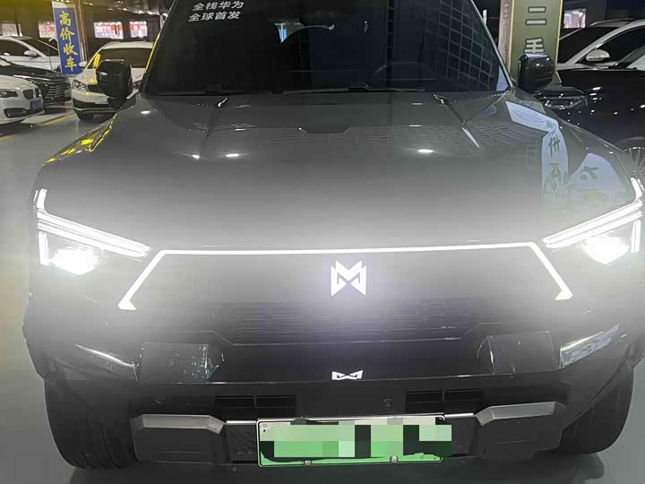 2025 Dongfeng Mengshi M18-3