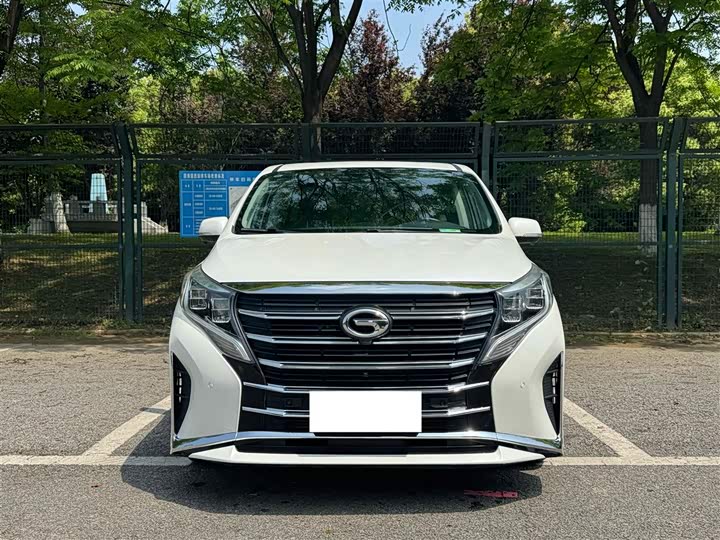 GAC Trumpchi M8 2021 2021款 领秀系列 390T 尊贵版