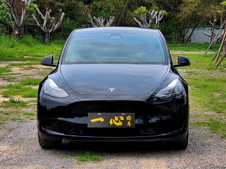 Photo 2 - Tesla Model Y