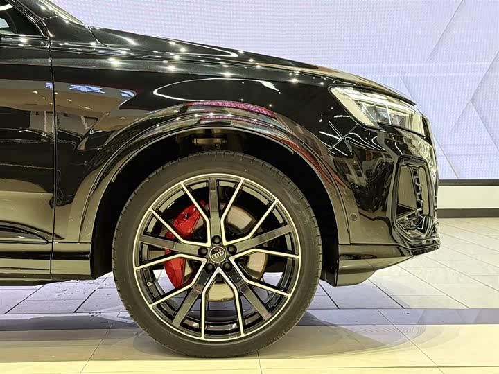 Audi Q7 2025 2025款 55 TFSI quattro S line冰雪运动版