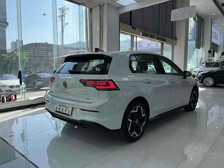 Volkswagen Golf 2025 2025款 改款 300TSI R-Line