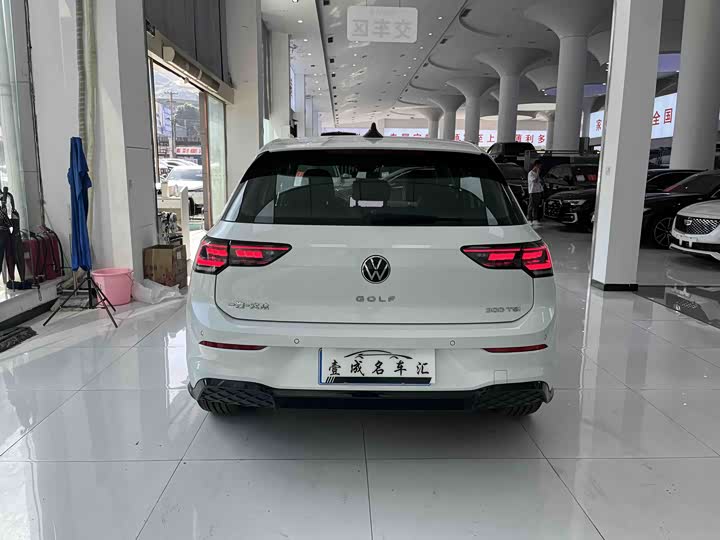 Volkswagen Golf 2025 2025款 改款 300TSI R-Line