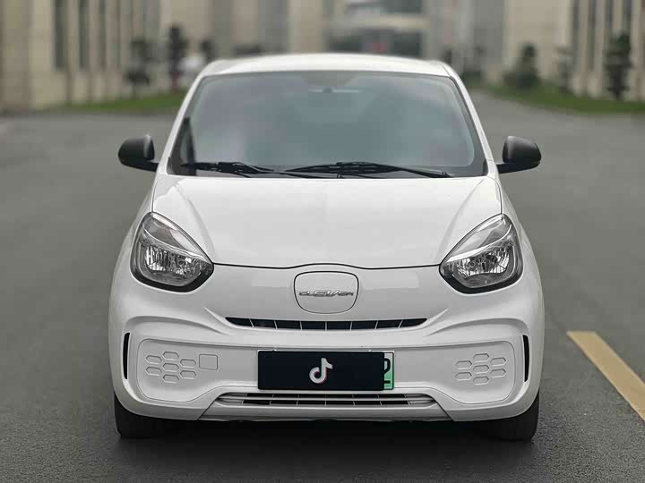 Roewe Clever 2022 2022款 311km元气啵啵版