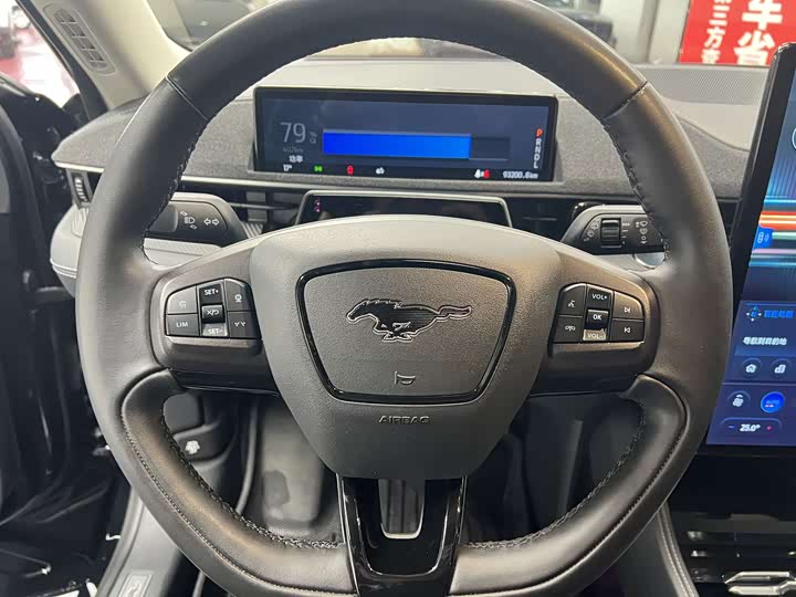 Ford Mustang Mach-E 2021 2021款 无疆后驱豪华版(长续航)