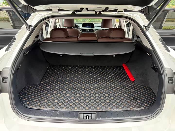Фото 9 - Lexus RX