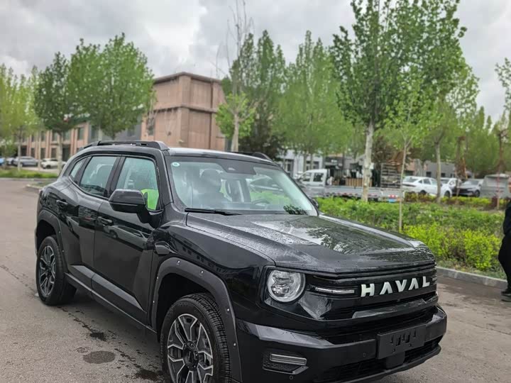 Haval H-Dog Hybrid 2026 2026款 Hi4 150km 潮电版
