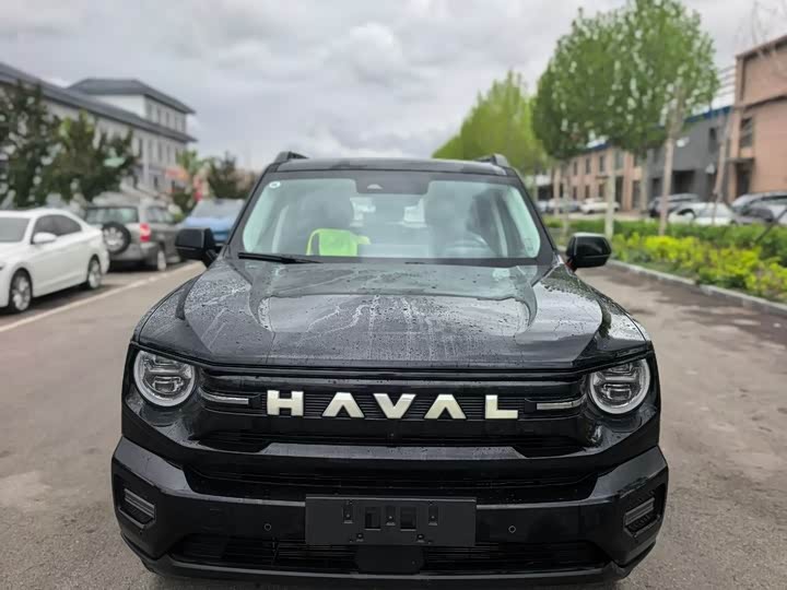 Haval H-Dog Hybrid 2026 2026款 Hi4 150km 潮电版