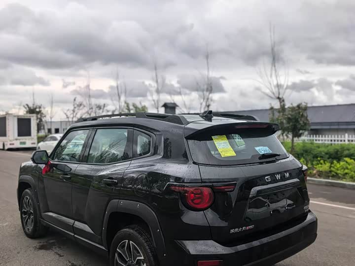 Haval H-Dog Hybrid 2026 2026款 Hi4 150km 潮电版