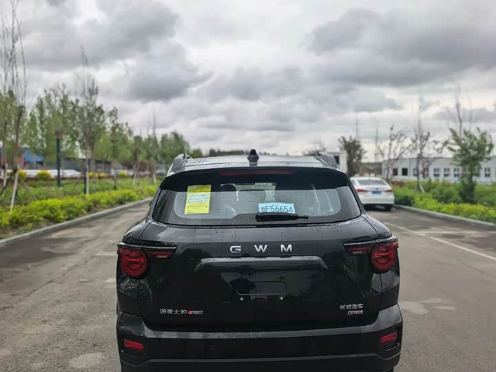 Haval H-Dog Hybrid 2026 2026款 Hi4 150km 潮电版