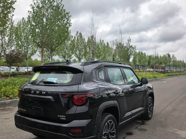 Haval H-Dog Hybrid 2026 2026款 Hi4 150km 潮电版