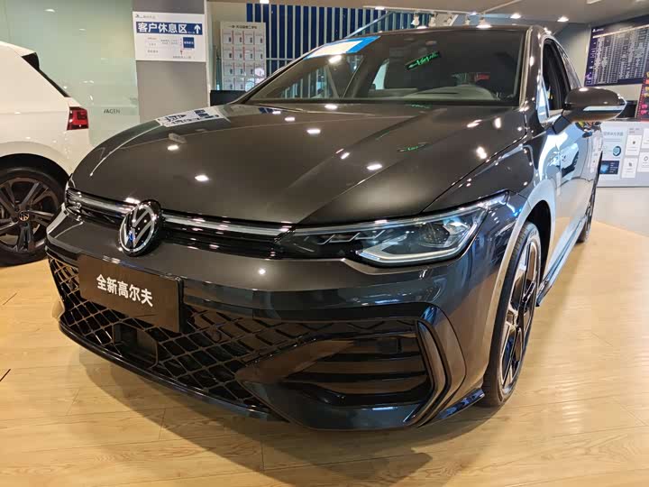 Volkswagen Golf 2025 2025款 300TSI R-Line