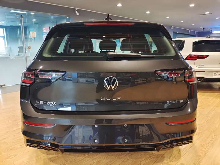 Volkswagen Golf 2025 2025款 300TSI R-Line
