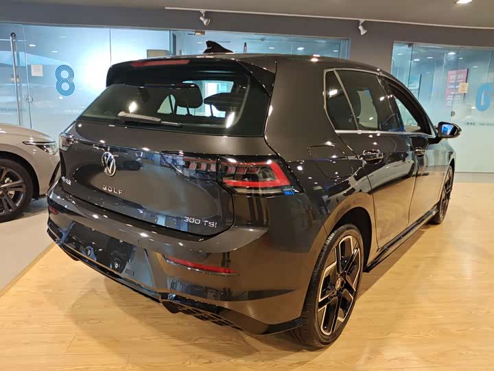 Volkswagen Golf 2025 2025款 300TSI R-Line