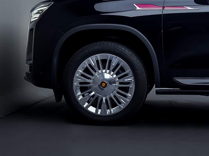 Hongqi LS7 (Guoyao) 2022 2022款 4.0T 典雅旗航版 6座