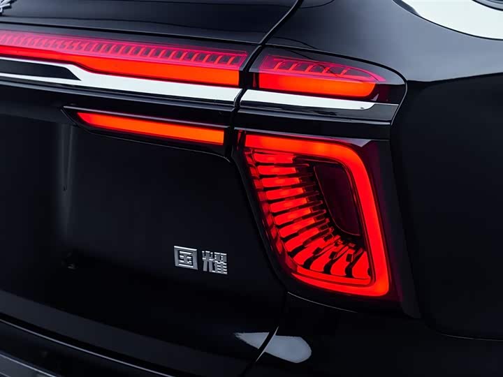 Hongqi LS7 (Guoyao) 2022 2022款 4.0T 典雅旗航版 6座