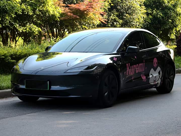 Tesla Model 3 2025 2025款 后轮驱动版