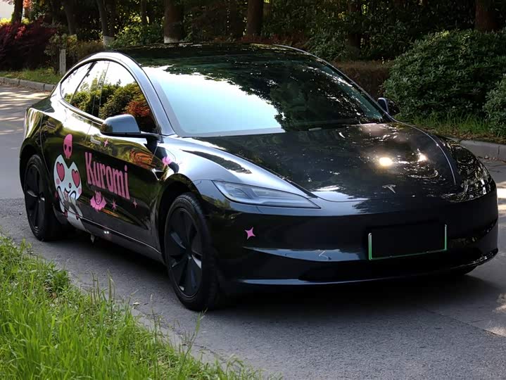 Tesla Model 3 2025 2025款 后轮驱动版